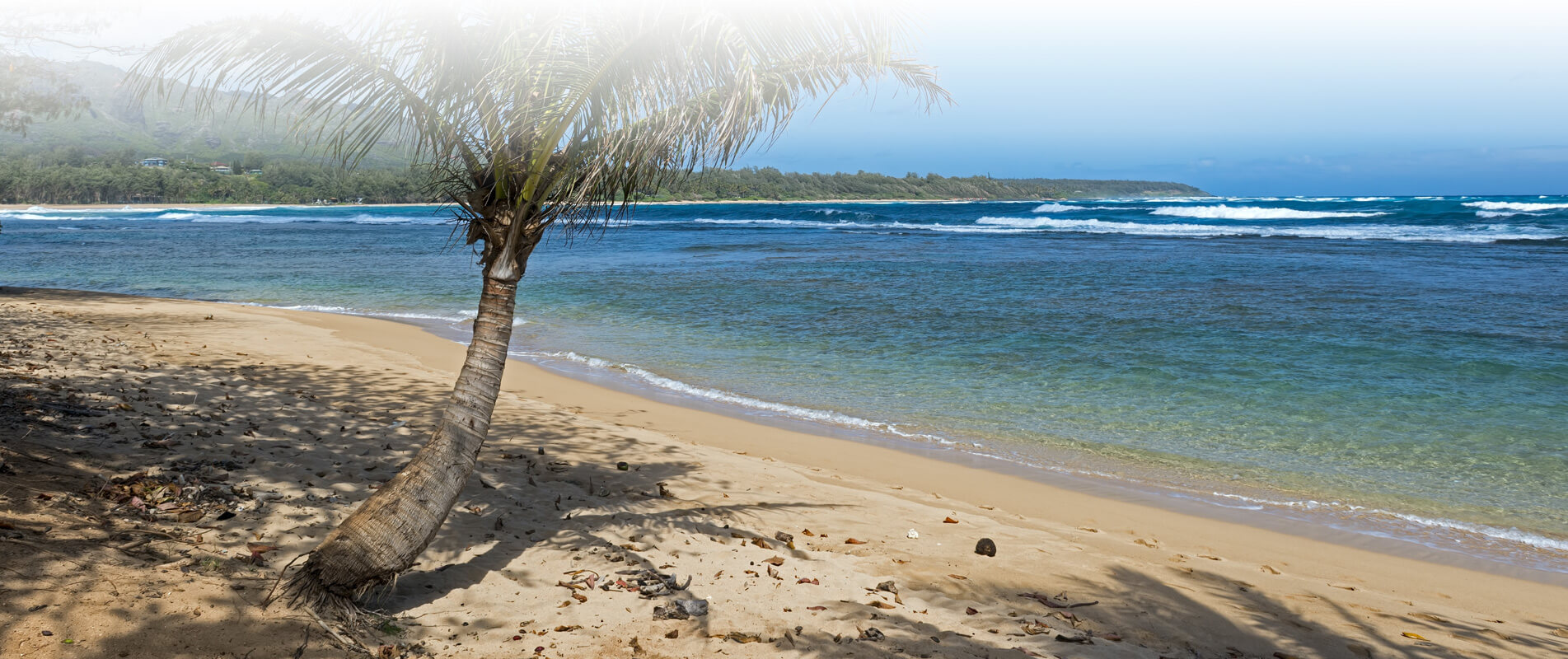 Beautiful palm-shaded spot on a Kauai beach