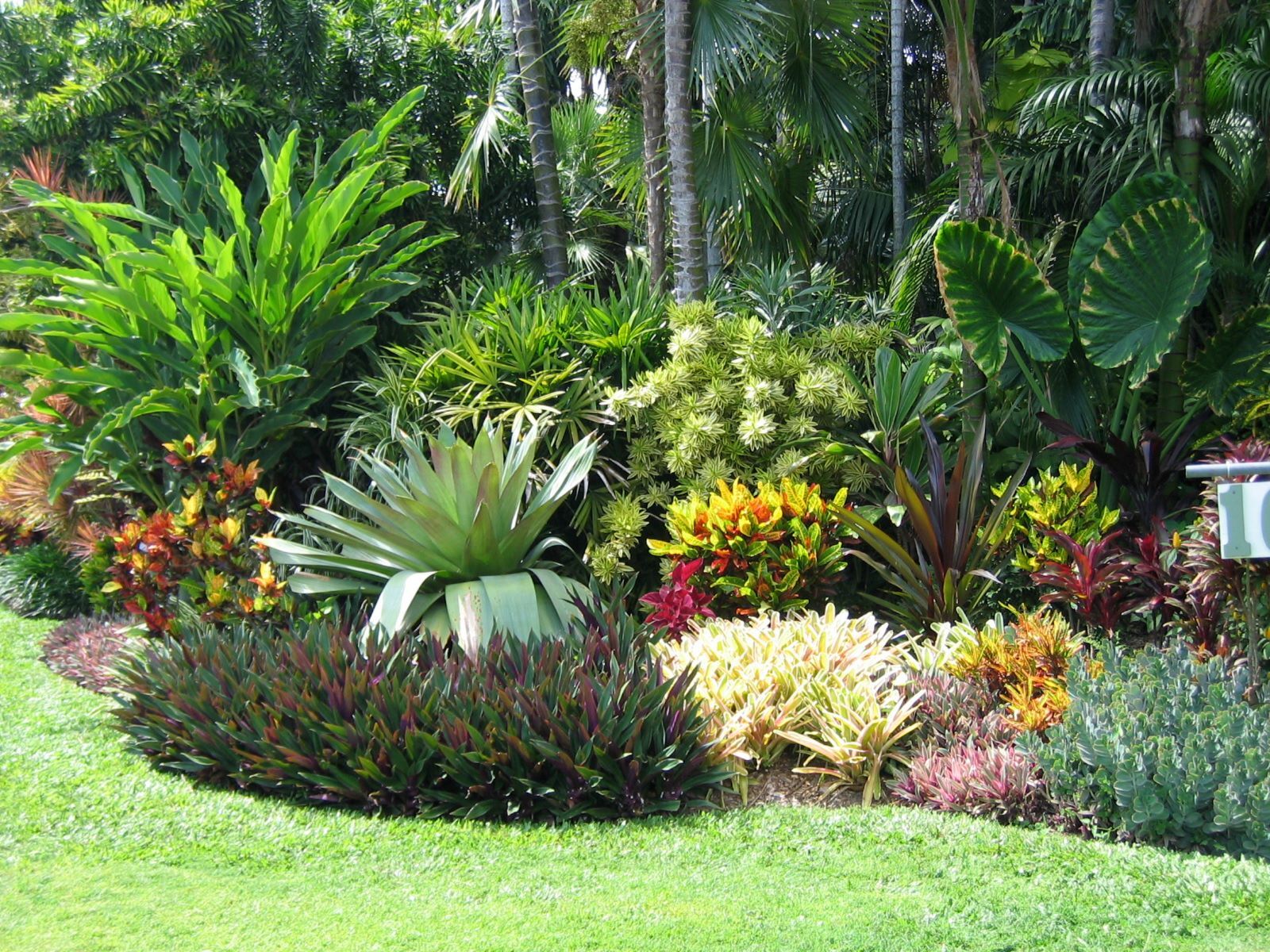 tropcial landscaping kauai